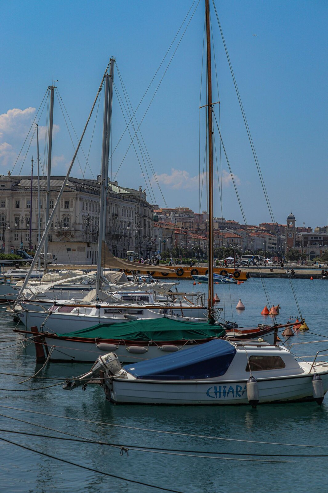 Porto di Trieste con barche a vela e vista sui palazzi